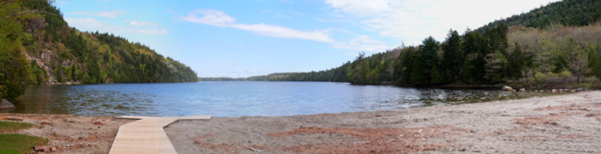 [Several photos stitched together showing the boardwalk on the beach leading up to the lake which is surrounded by trees and evergreens.]